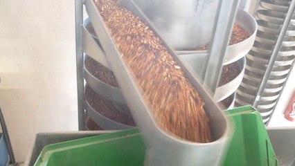 Thé - Elevateur SINEX en sortie