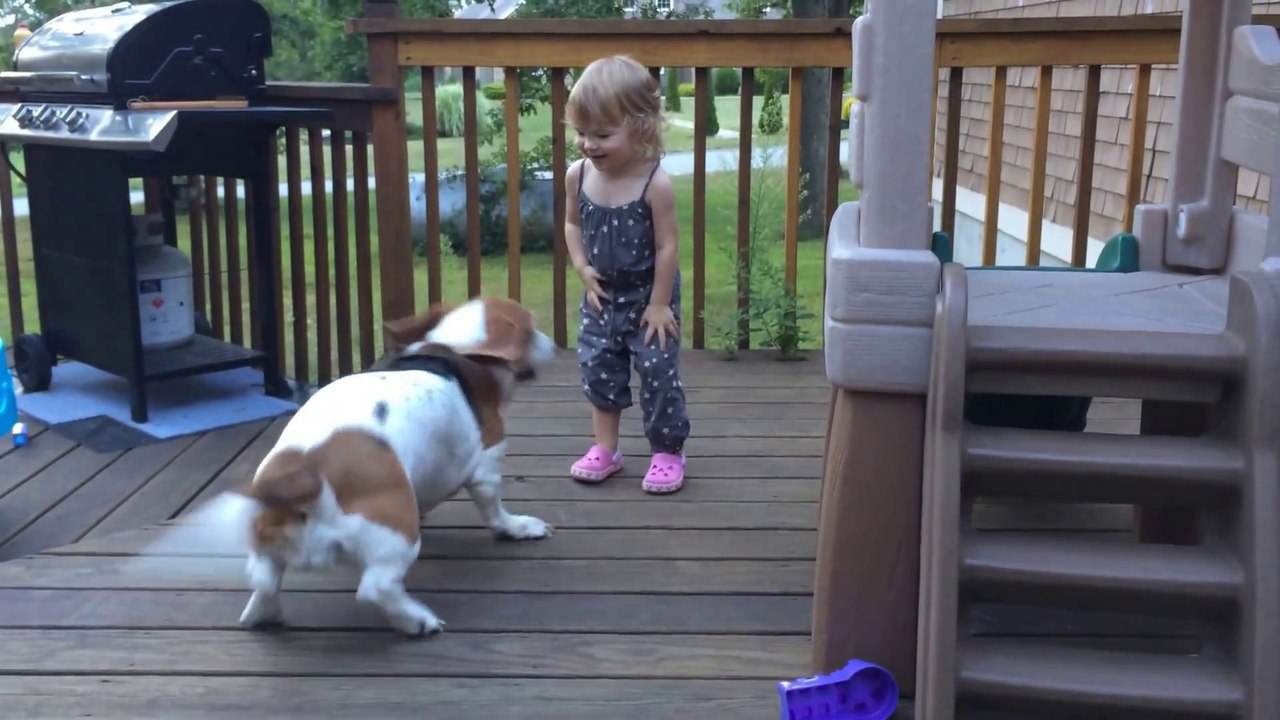 So cute Toddler And Basset dancing On The Deck