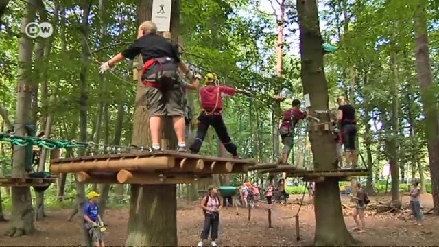 Der deutsche Wald - ein Mythos | Projekt Zukunft