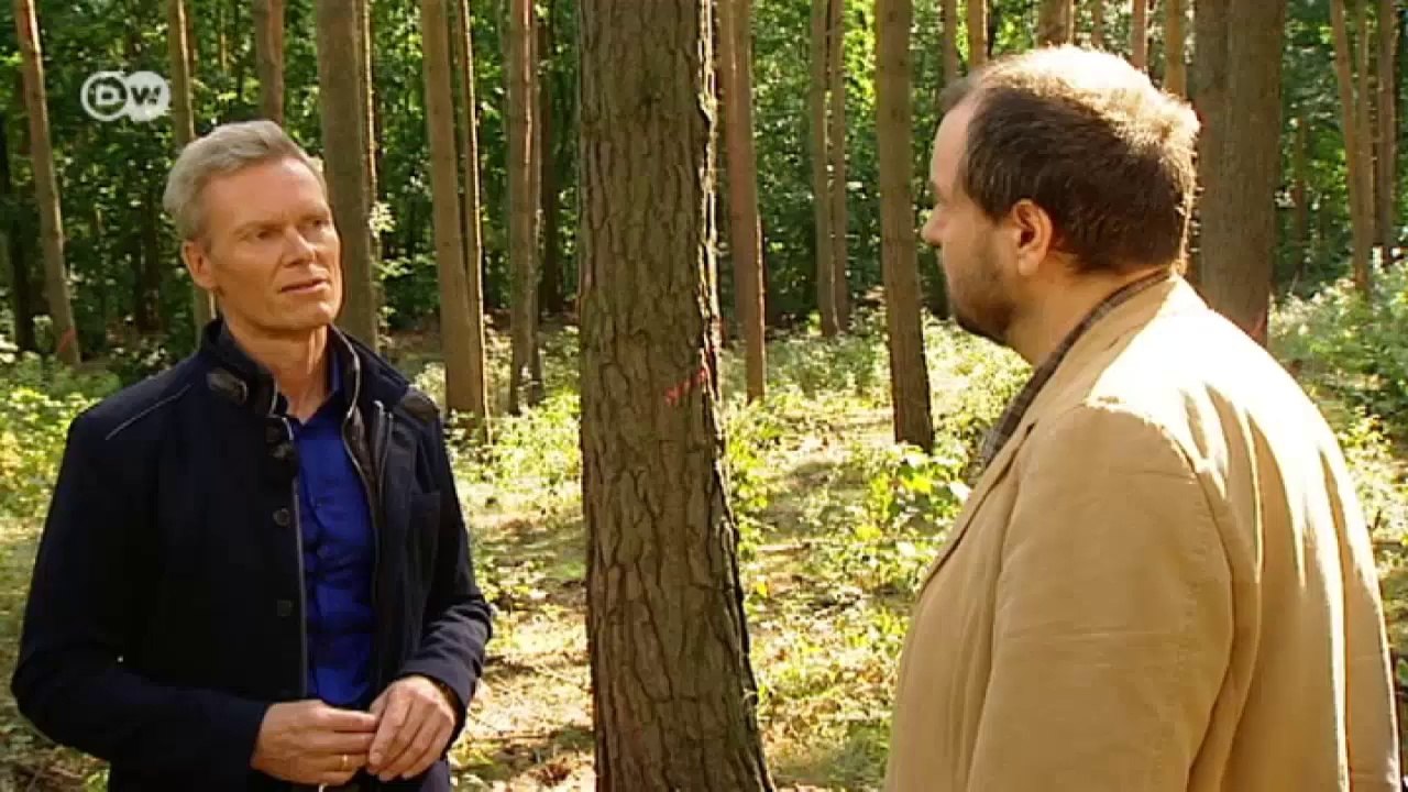 Wie reagiert der Wald auf den Klimawandel? | Projekt Zukunft