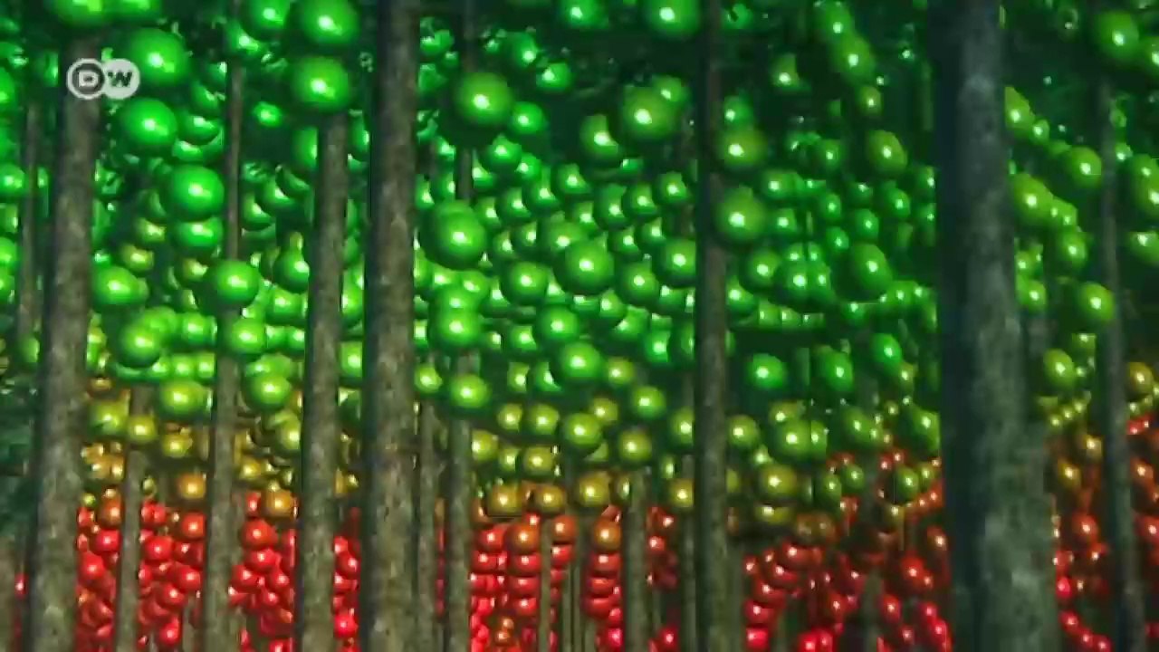 Der virtuelle wald | projekt zukunft