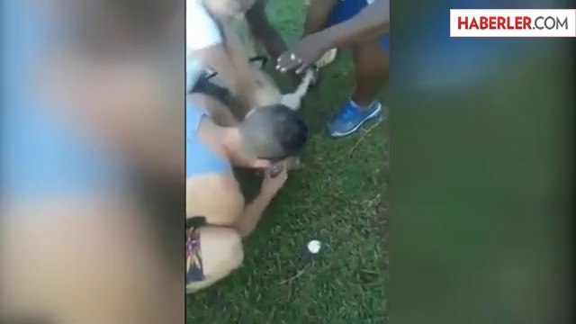 Nehirde Köpeği Boğulan Genç, Hüngür Hüngür Ağladı