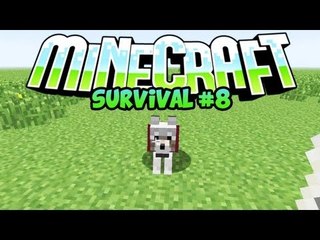 Minecraft UAGNA's Survival Ep.8 - SUPERFICIE! by HeatFox