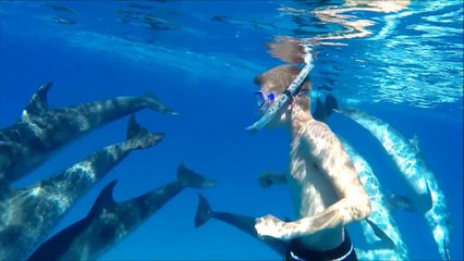 Ce jeune homme vit un moment spécial avec des dauphins