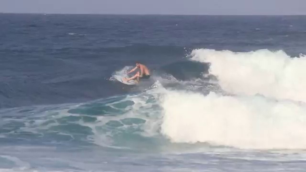 Oli Adams CSkins No Carbs Before Barbs