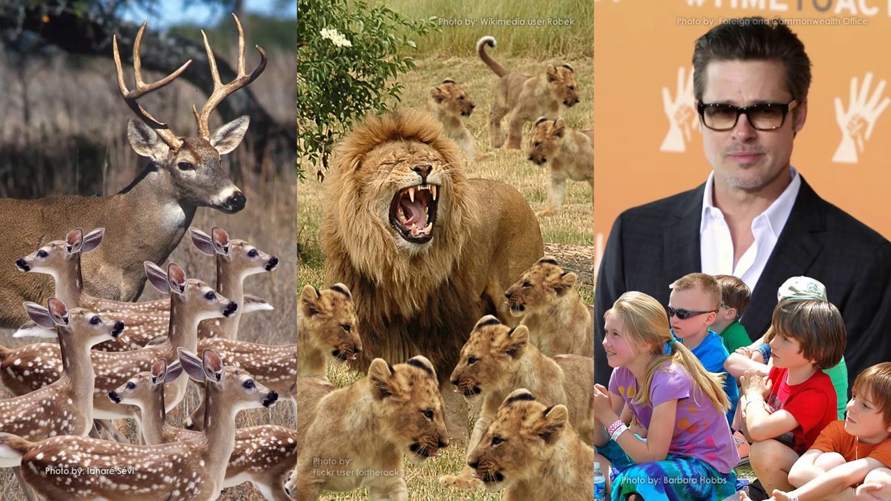 Why Do We Have More Boys Than Girls