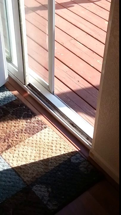 Un chien blessé a appris à passer la porte