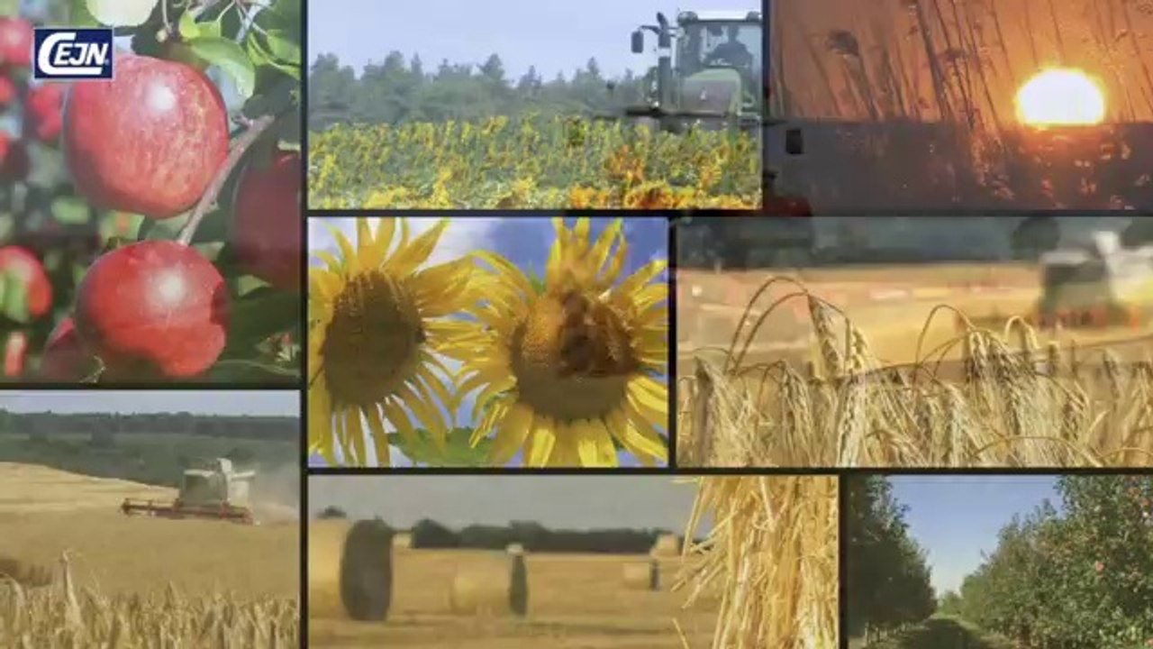 Cejn XSeries Spill Free Couplings