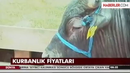 Kurbanlık Hayvan Sıkıntısı Yaşanmayacak