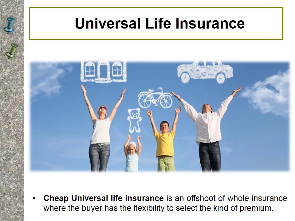 Life Insurance has Become Significant in an Earth