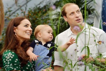 Video herunterladen: Los duques de Cambridge esperan su segundo hijo