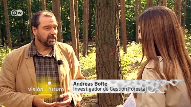 ¿Cómo reaccionan los árboles al cambio climático? | Visión futuro