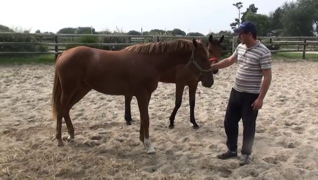 PRESENTATION DE DEESSE DE BOMO PAR J.LAGENEBRE
