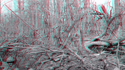 une tranchée près du fort de souville