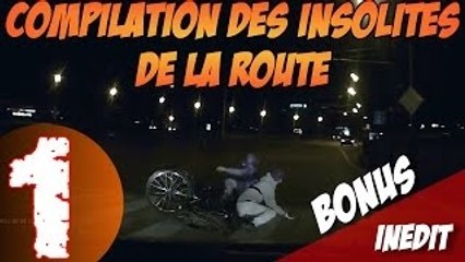 Compilation des insolites de la route n°1
