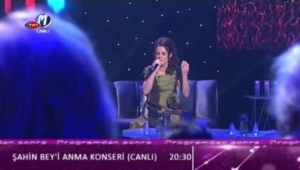 03 arzu akmeşe diyarbakır dolar şimdi 28.03.2012