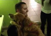 Dog Gives Hugs on Command