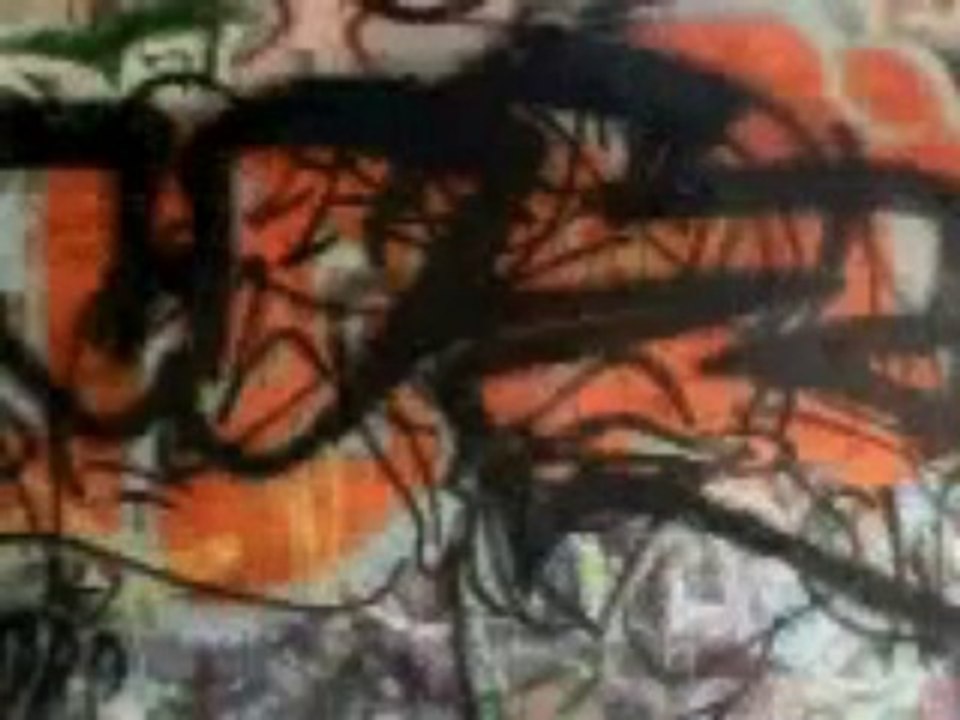 PARASIDE - Openning credits sequence - Directed by RENNIE COWAN