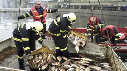 25 Biggest Man Made Environmental Disasters Of History