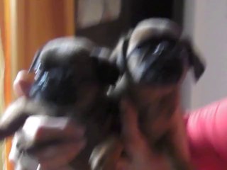 JP ET JEASON DU DOMAINE DES COTIERES