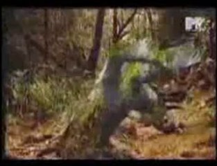 MTV European Top 20 (1993-1994)