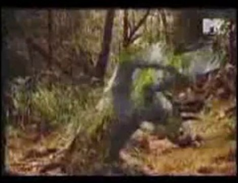 MTV_European_Top_20_1993-1994