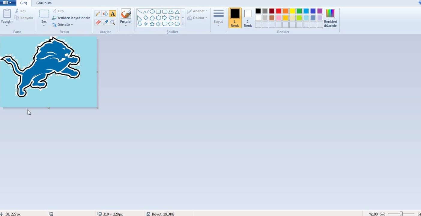Resim Üzerine Yazı Yazma