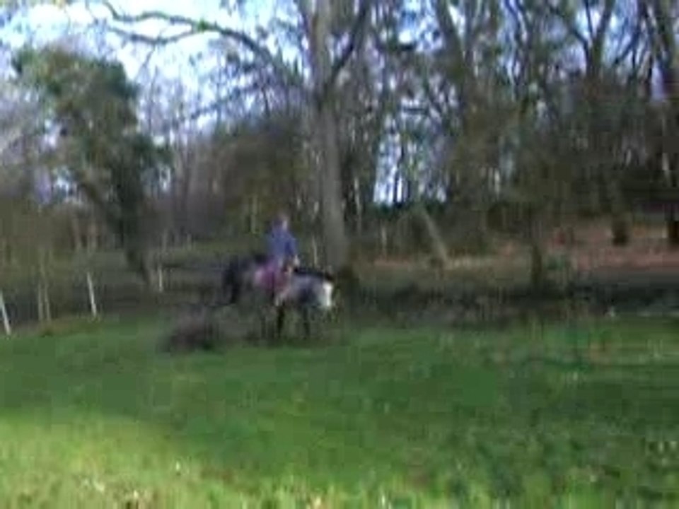 Nat et mirif en saut