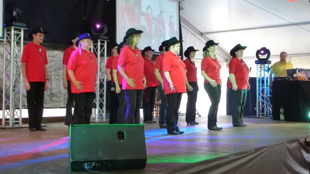 Auftritt #3 am 5. Juli 2014 auf dem Lusanfest