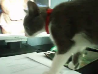 LUMI 4: Advanced Lighting Solution