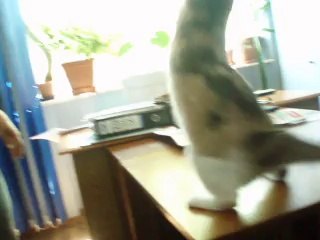 LUMI 6: Advanced Lighting System