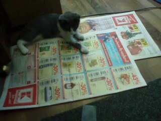 LUMI 7: Advanced Lighting Solution