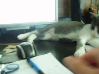 LUMI 8: Advanced Lighting System