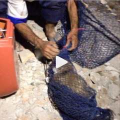 Protetores em ação agora no Resgate da demolição