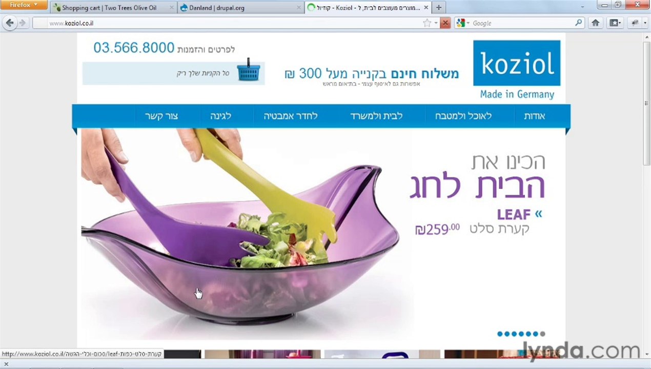 Create Your First Online Store with Drupal Commerce - Organizing Your Store - Changing your store's look