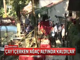 Çay içen kadınların üzerine ağaç devrildi 2 ölü var