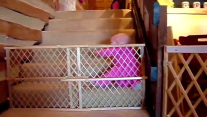 Mission Impossible_ Babies Escape