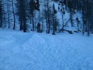ski freestyle: backflip to in your face