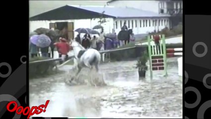 Funny Animals Funny Home Videos Hilarious Horse Act Ever