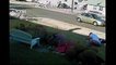When Crazy Animals Attack Pitbull attacks walking dogs, Authorities take no action ~ Best Funny An