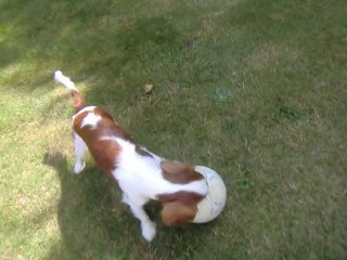 Juliane joue au balon