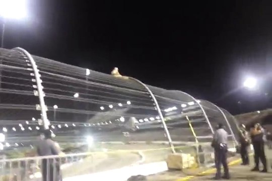 Drunk Nascar Fan Climbs Turn 4 fence at RIR 2014