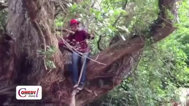 Very Funny Videos That Make You Laugh So Hard And Cry 2014 Try Not To Laugh Or Grin