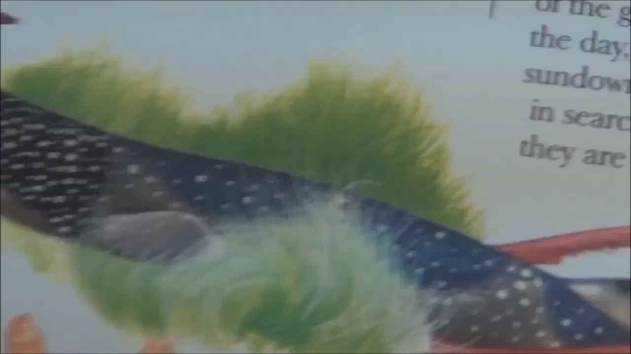 Entertainer Imagines the Humorous Thoughts of Sharks