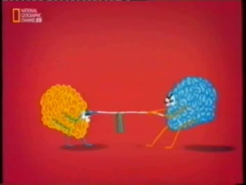 Lobulo frontal: Contradicciones sensoriales (Efecto McGurk)