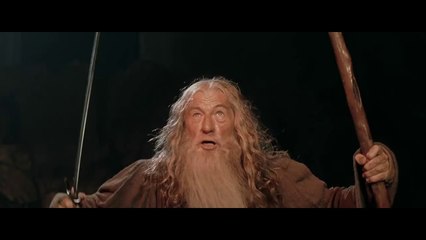 Le Seigneur des Anneaux - Vous ne passerez pas