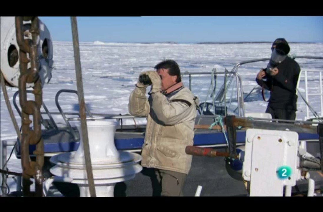 0908151824DVB-TLa2_8 Osos del Artico II 3 de 8