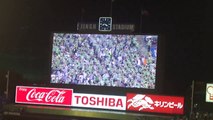 SWALLOWS VS TIGERS (August 2014)  : Uta_hanabi