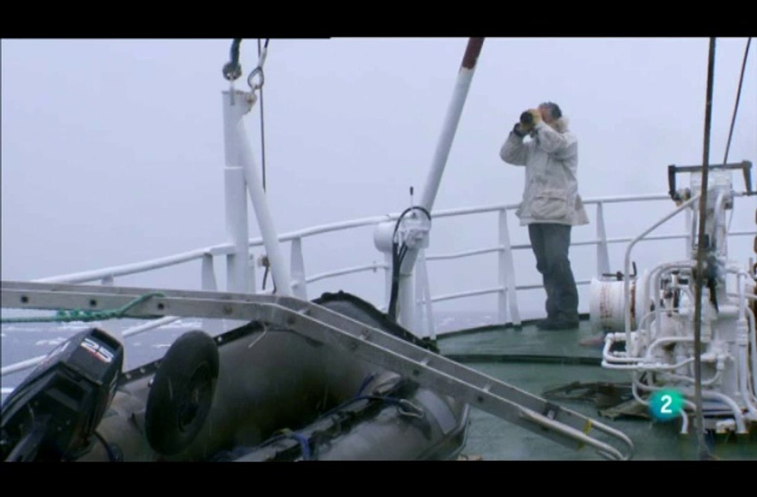 0908151824DVB-TLa2_9 Osos  del Artico II 4 de 8