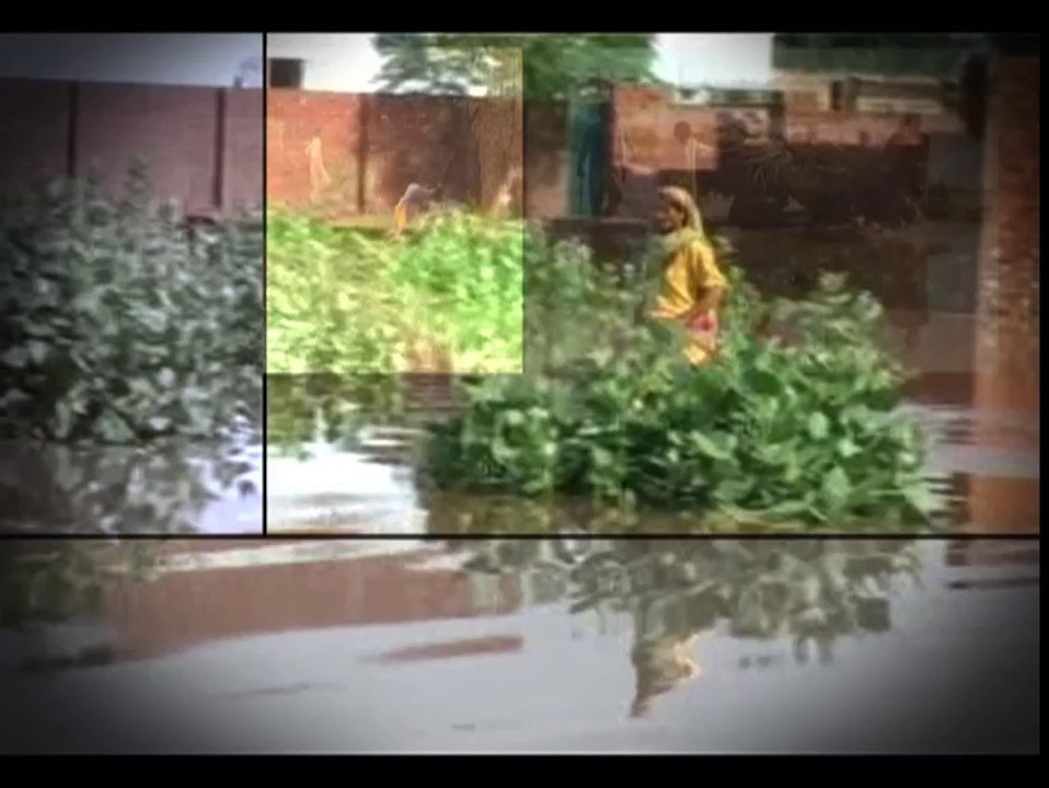 Flood 2014 Promo